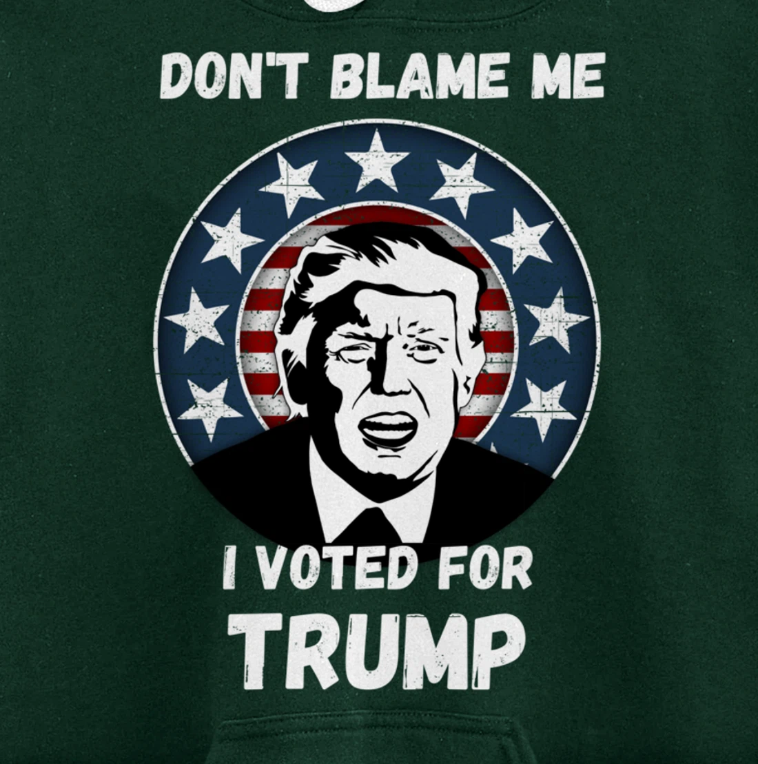 Don’t Blame Me I Voted Trump, Patriotic Pro Donald Trump Pullover Hoodie