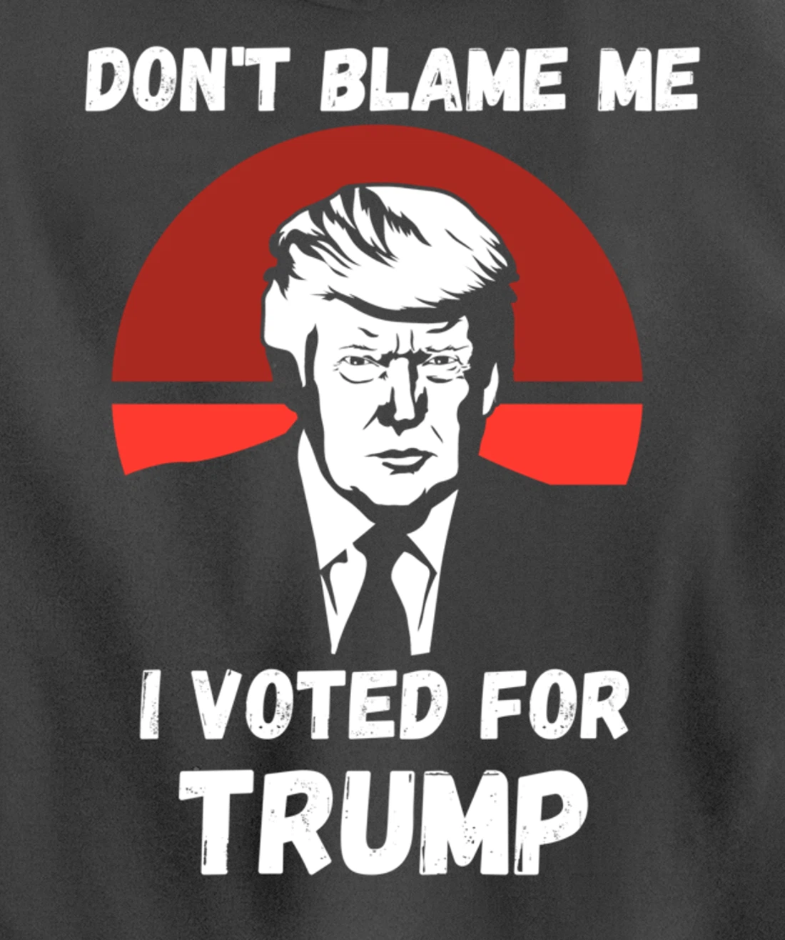 Don’t Blame Me I Voted Trump, Patriotic Pro Donald Trump Pullover Hoodie
