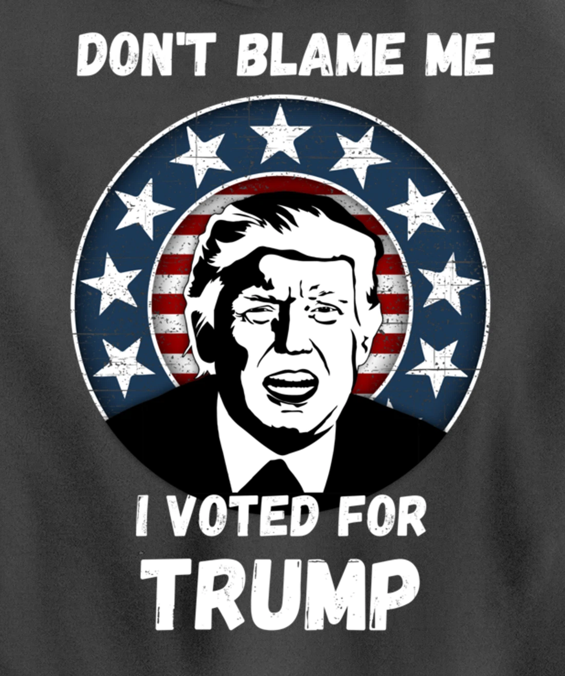 Don’t Blame Me I Voted Trump, Patriotic Pro Donald Trump Pullover Hoodie