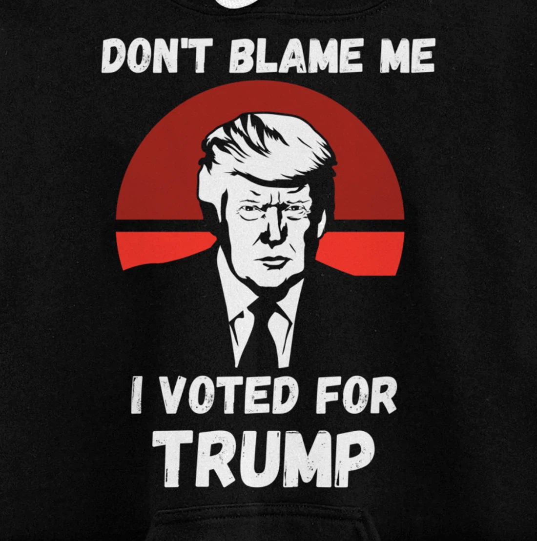 Don’t Blame Me I Voted Trump, Patriotic Pro Donald Trump Pullover Hoodie