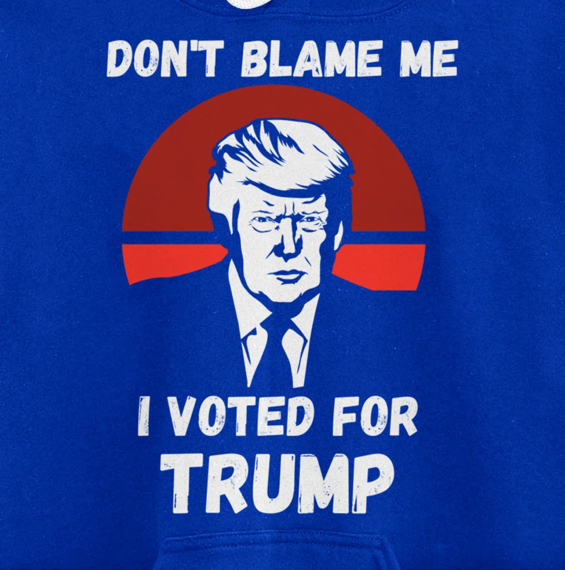 Don’t Blame Me I Voted Trump, Patriotic Pro Donald Trump Pullover Hoodie