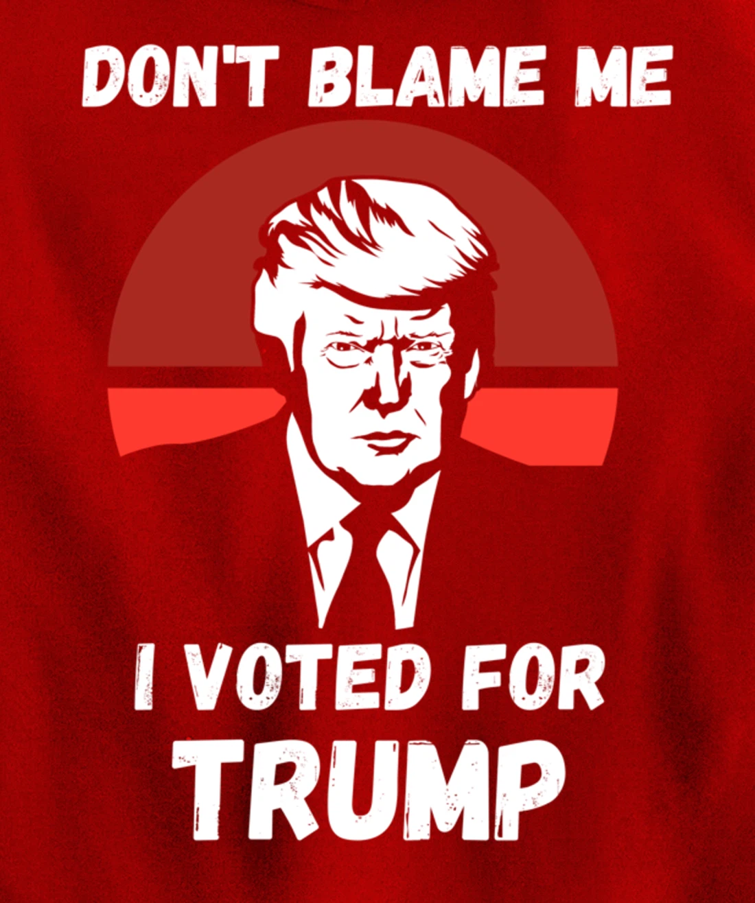 Don’t Blame Me I Voted Trump, Patriotic Pro Donald Trump Pullover Hoodie