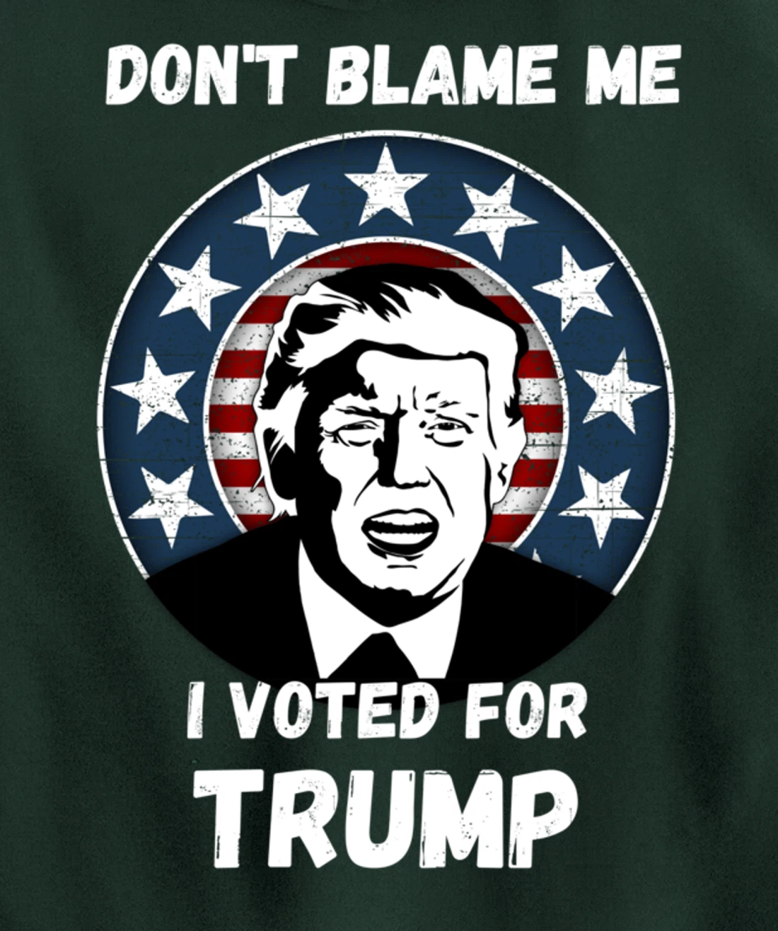 Don’t Blame Me I Voted Trump, Patriotic Pro Donald Trump Pullover Hoodie