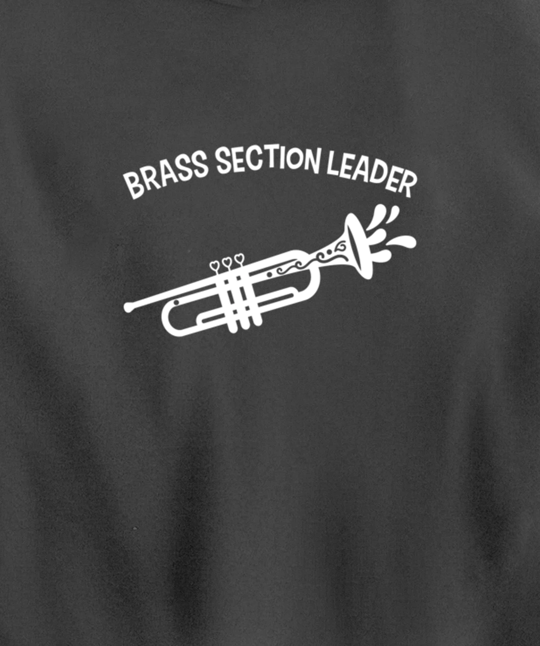 Section Leader Trumpet Music Lead Conductor Pullover Hoodie