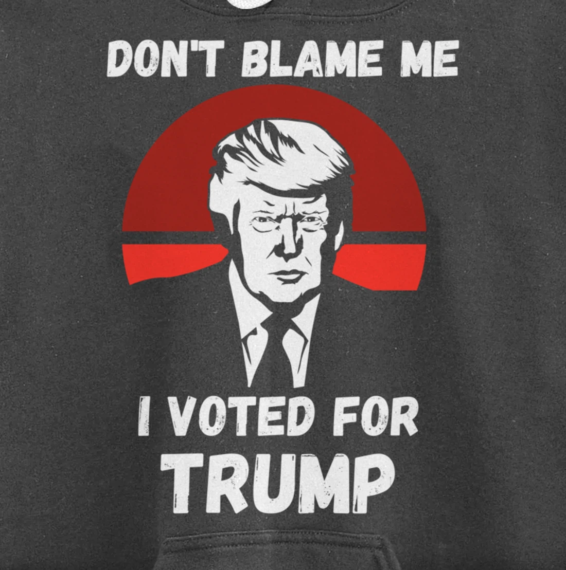 Don’t Blame Me I Voted Trump, Patriotic Pro Donald Trump Pullover Hoodie