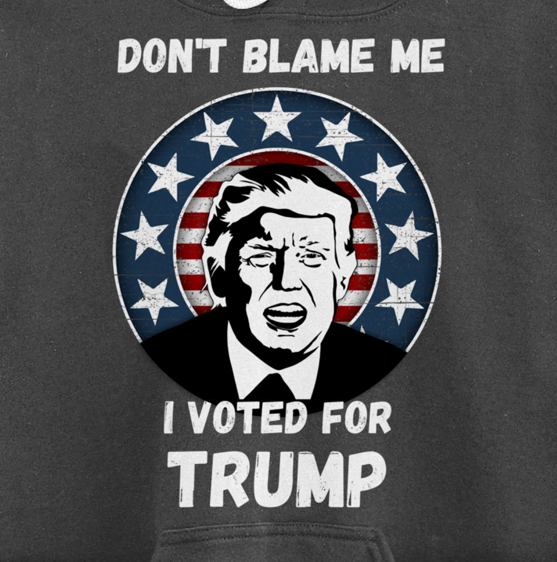 Don’t Blame Me I Voted Trump, Patriotic Pro Donald Trump Pullover Hoodie