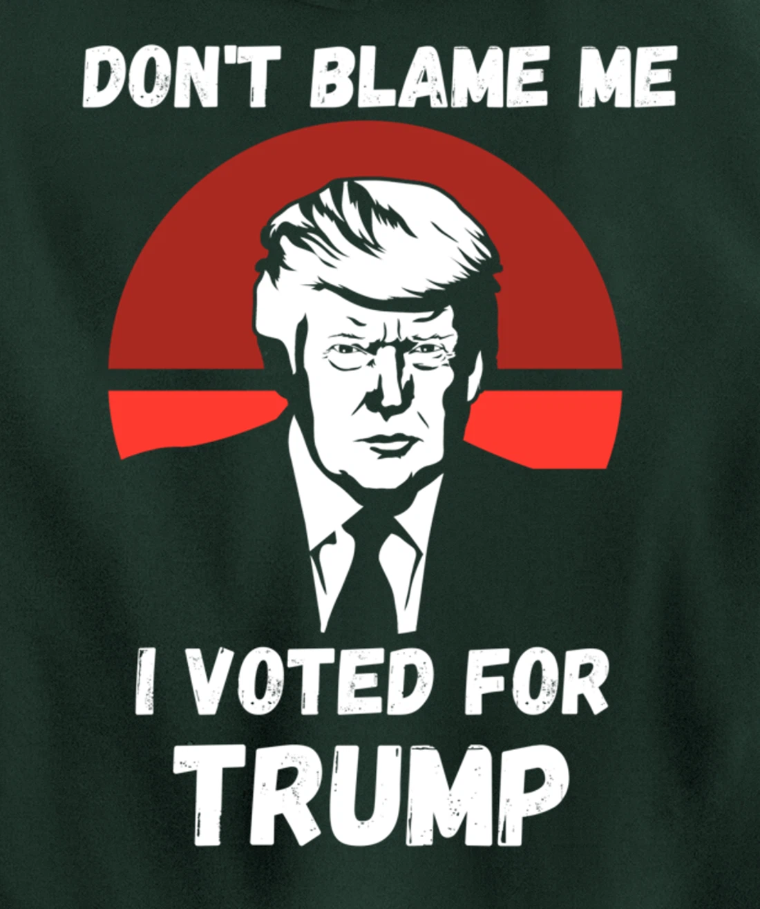 Don’t Blame Me I Voted Trump, Patriotic Pro Donald Trump Pullover Hoodie