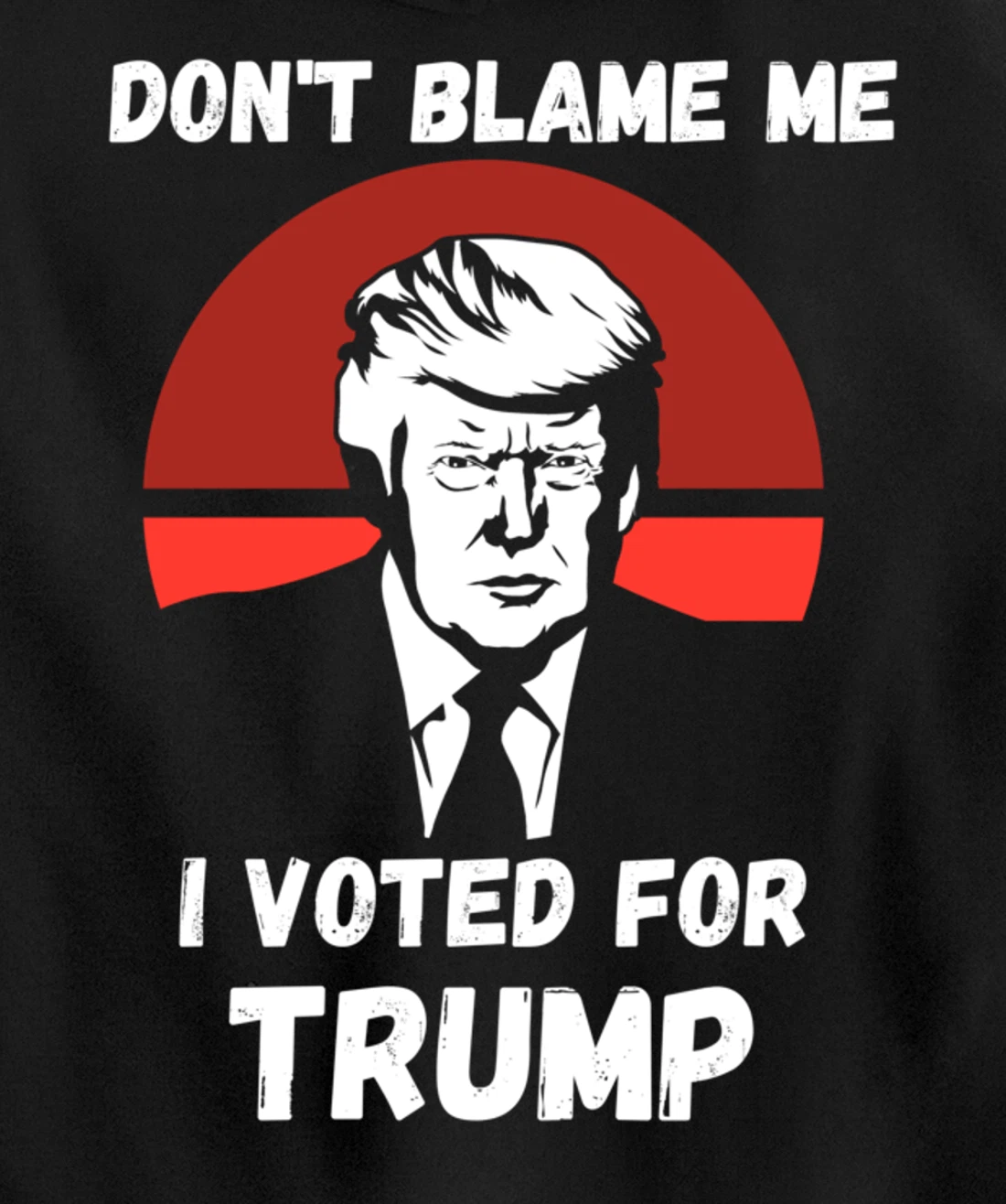 Don’t Blame Me I Voted Trump, Patriotic Pro Donald Trump Pullover Hoodie