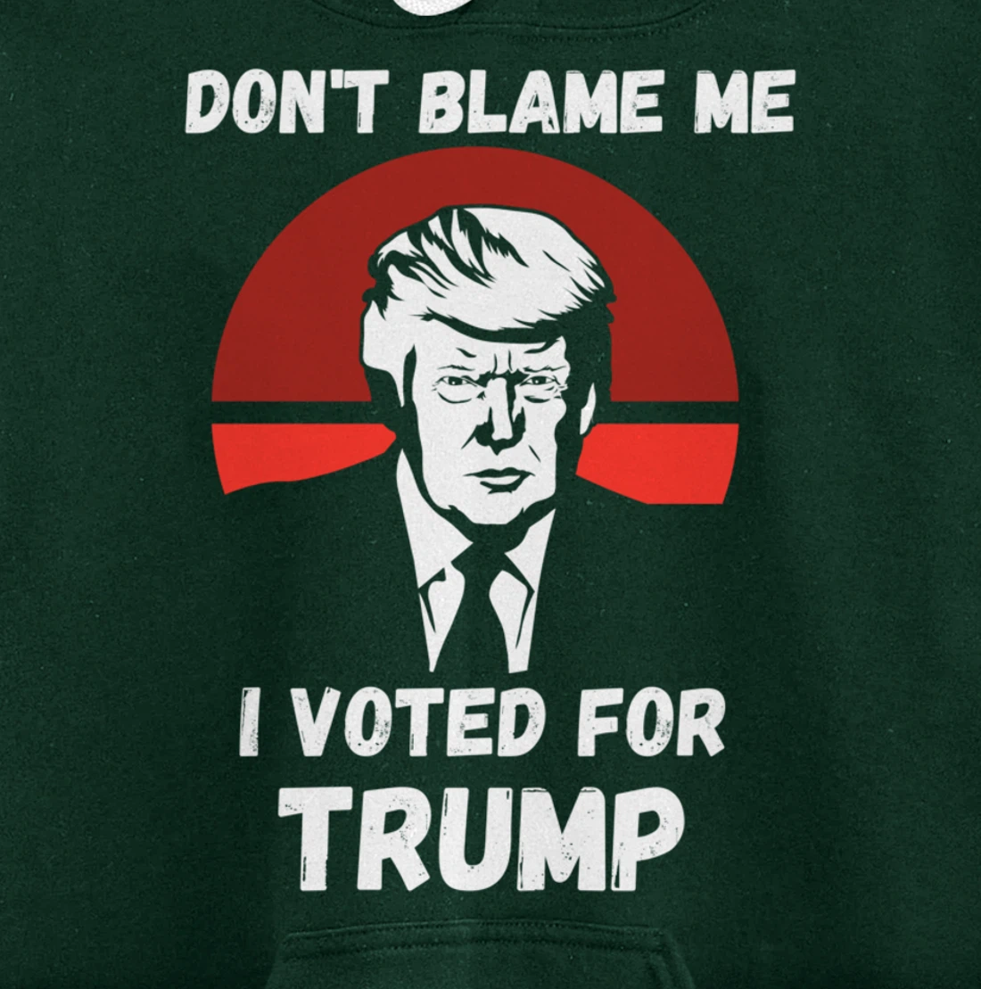 Don’t Blame Me I Voted Trump, Patriotic Pro Donald Trump Pullover Hoodie