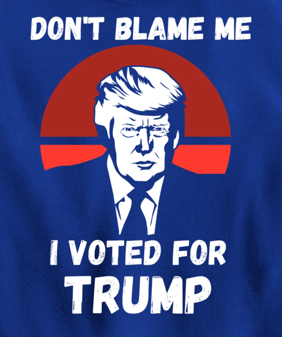 Don’t Blame Me I Voted Trump, Patriotic Pro Donald Trump Pullover Hoodie