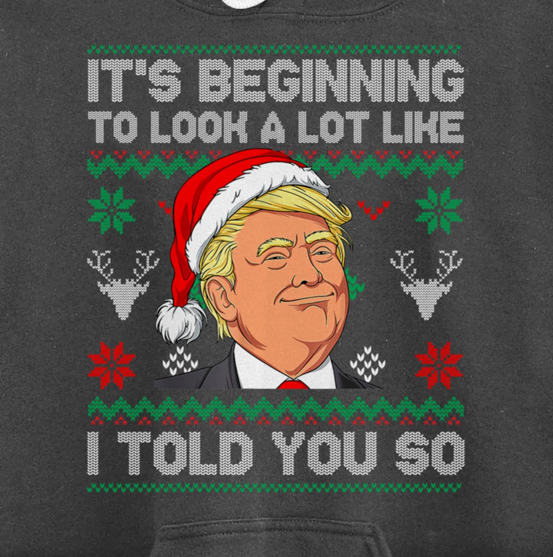 Trump Ugly It's Beginning To Look A Lot Like I Told You So Pullover Hoodie