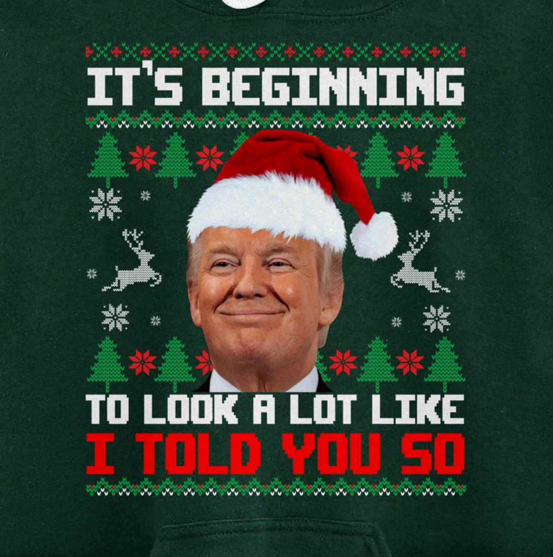 It's Beginning To Look A Lot Like I Told You So Trump Ugly Pullover Hoodie