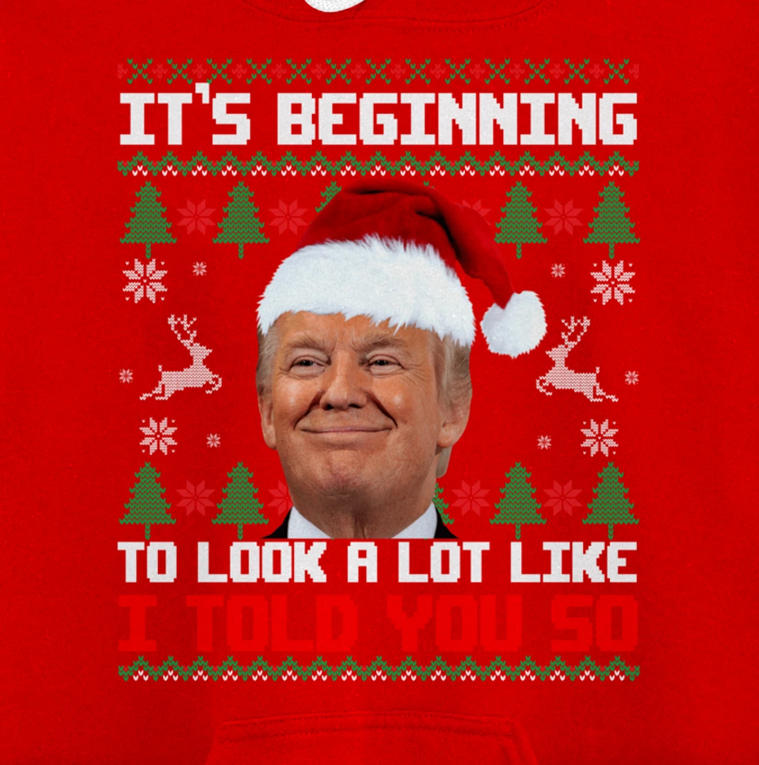 It's Beginning To Look A Lot Like I Told You So Trump Ugly Pullover Hoodie