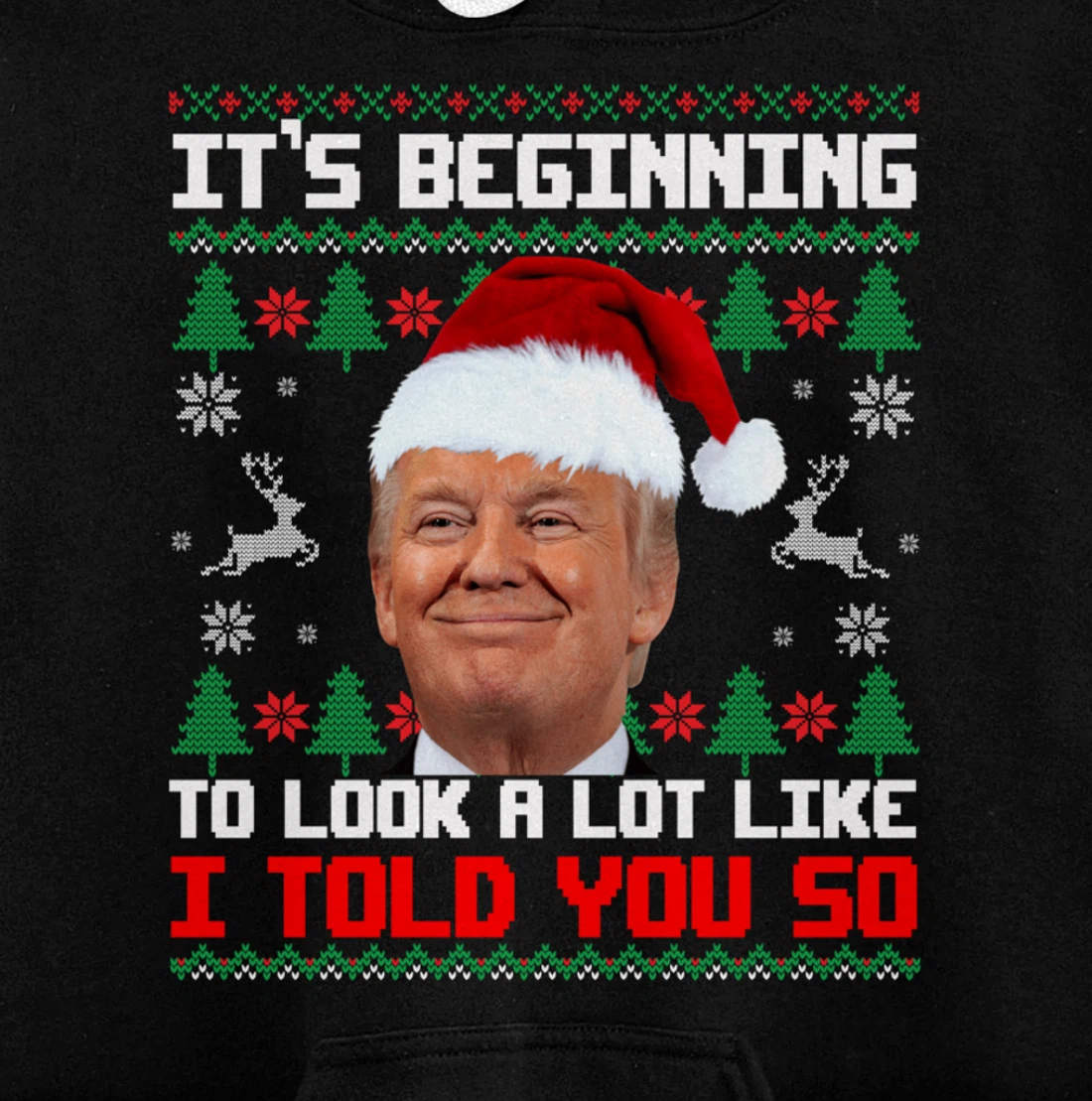 It's Beginning To Look A Lot Like I Told You So Trump Ugly Pullover Hoodie