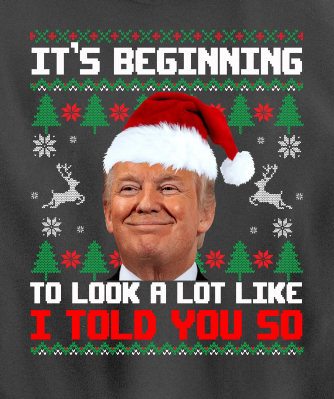 It's Beginning To Look A Lot Like I Told You So Trump Ugly Pullover Hoodie