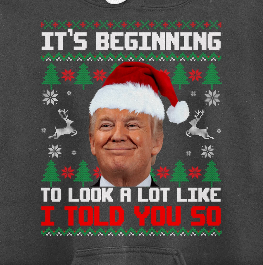 It's Beginning To Look A Lot Like I Told You So Trump Ugly Pullover Hoodie