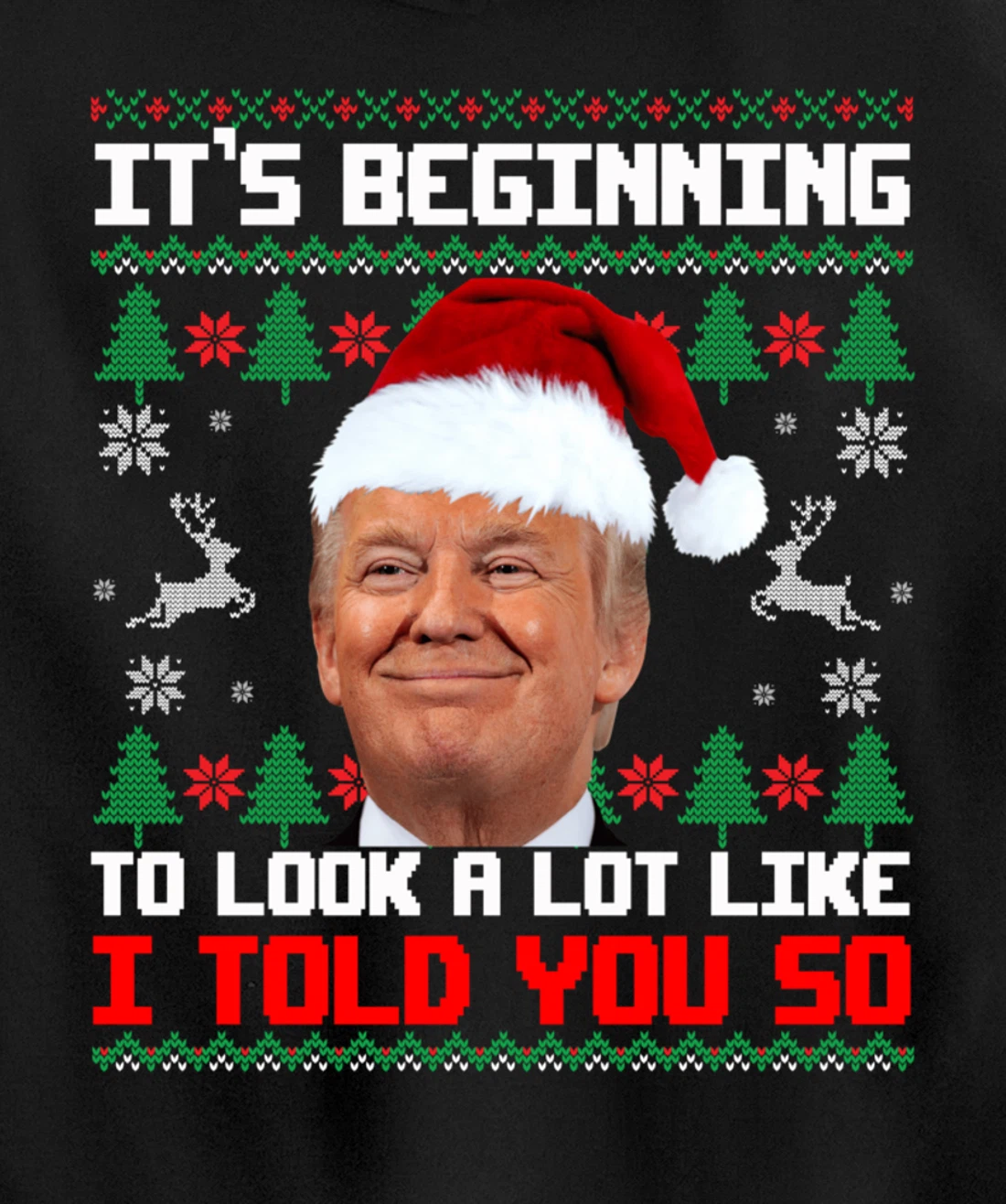 It's Beginning To Look A Lot Like I Told You So Trump Ugly Pullover Hoodie