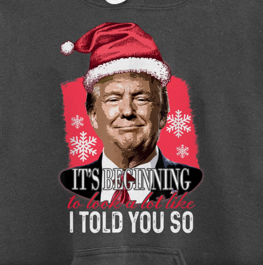 It's Beginning To Look A Lot Like I Told You So Trump Xmas Pullover Hoodie