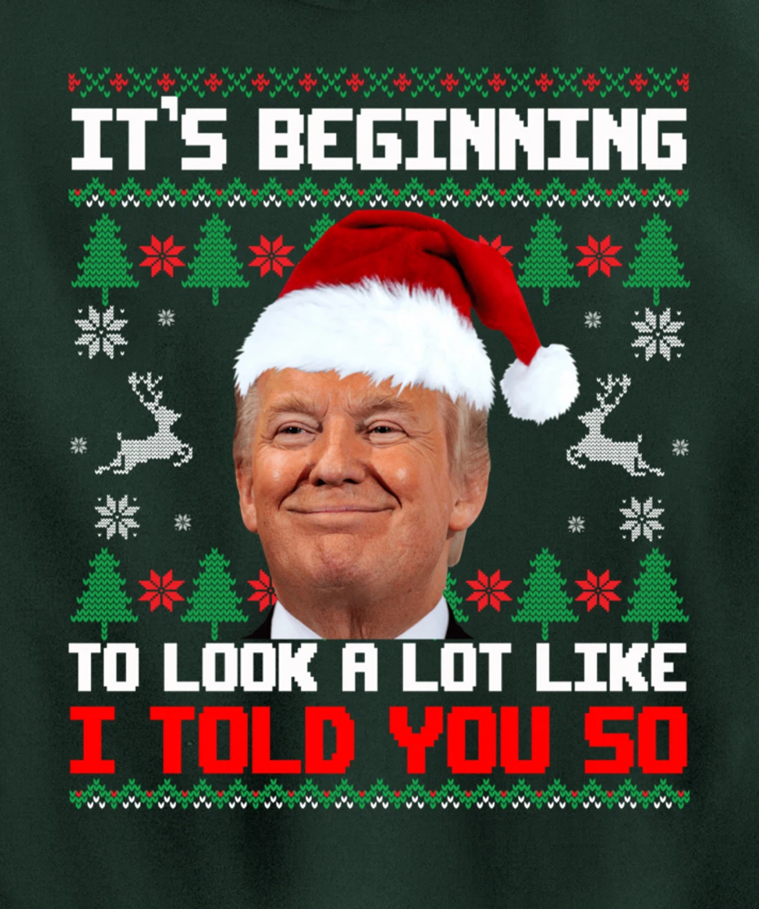 It's Beginning To Look A Lot Like I Told You So Trump Ugly Pullover Hoodie