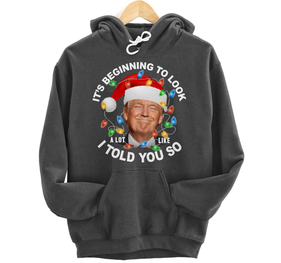 It's Beginning To Look A Lot Like I Told You So Trump Xmas Pullover Hoodie