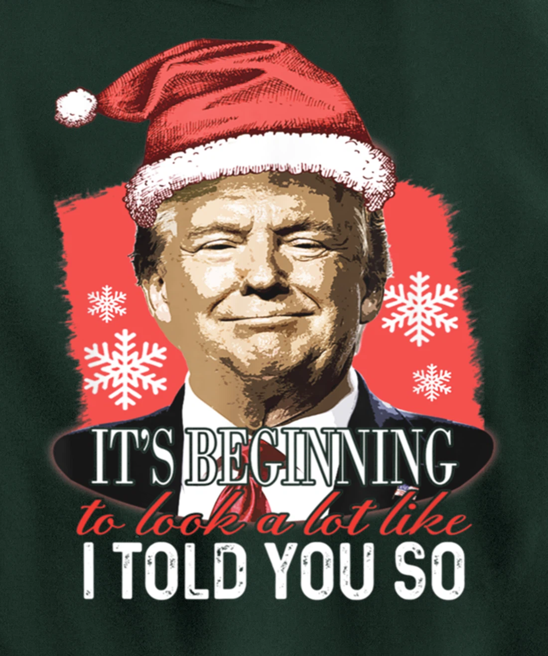 It's Beginning To Look A Lot Like I Told You So Trump Xmas Pullover Hoodie