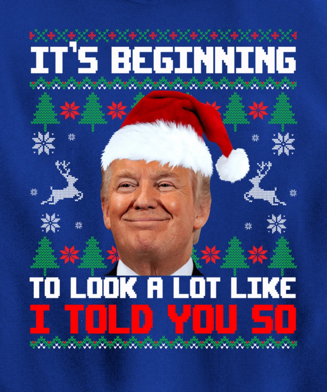 It's Beginning To Look A Lot Like I Told You So Trump Ugly Pullover Hoodie