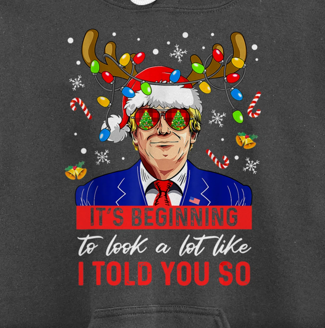 It's Beginning To Look A Lot Like I Told You So Trump Xmas Pullover Hoodie