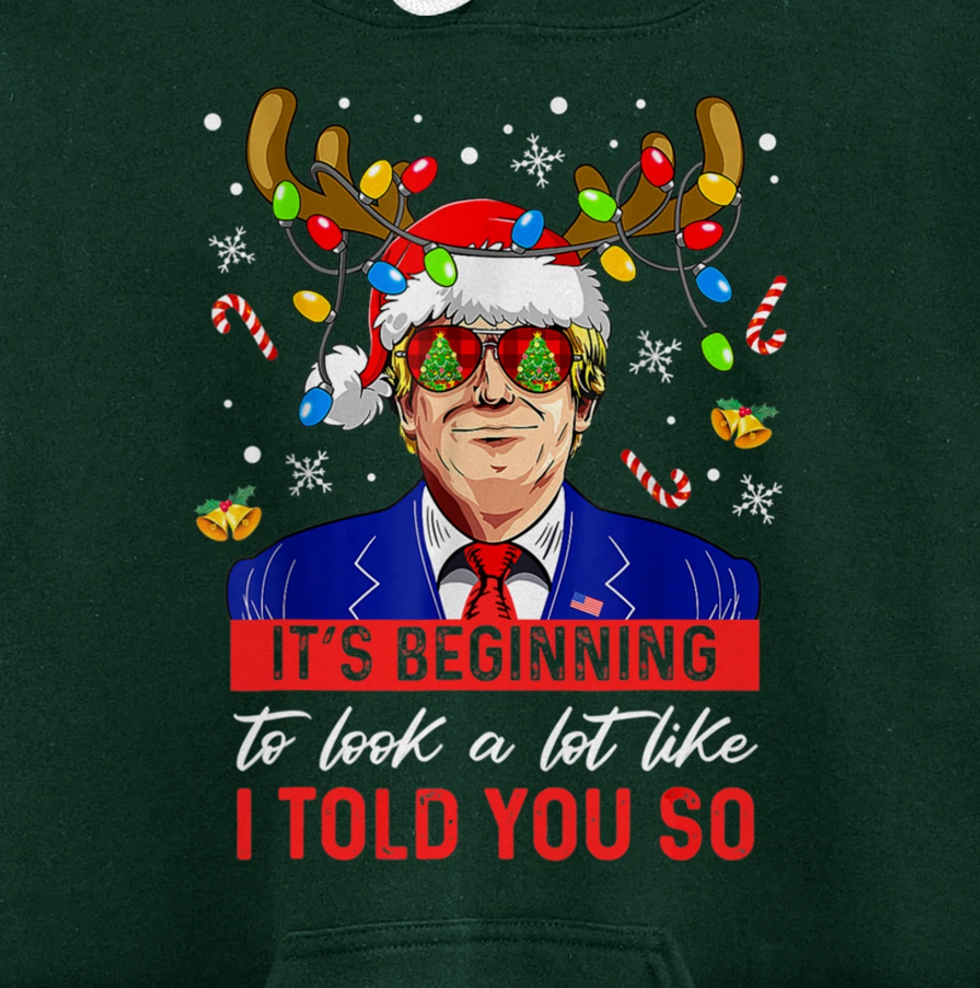 It's Beginning To Look A Lot Like I Told You So Trump Xmas Pullover Hoodie