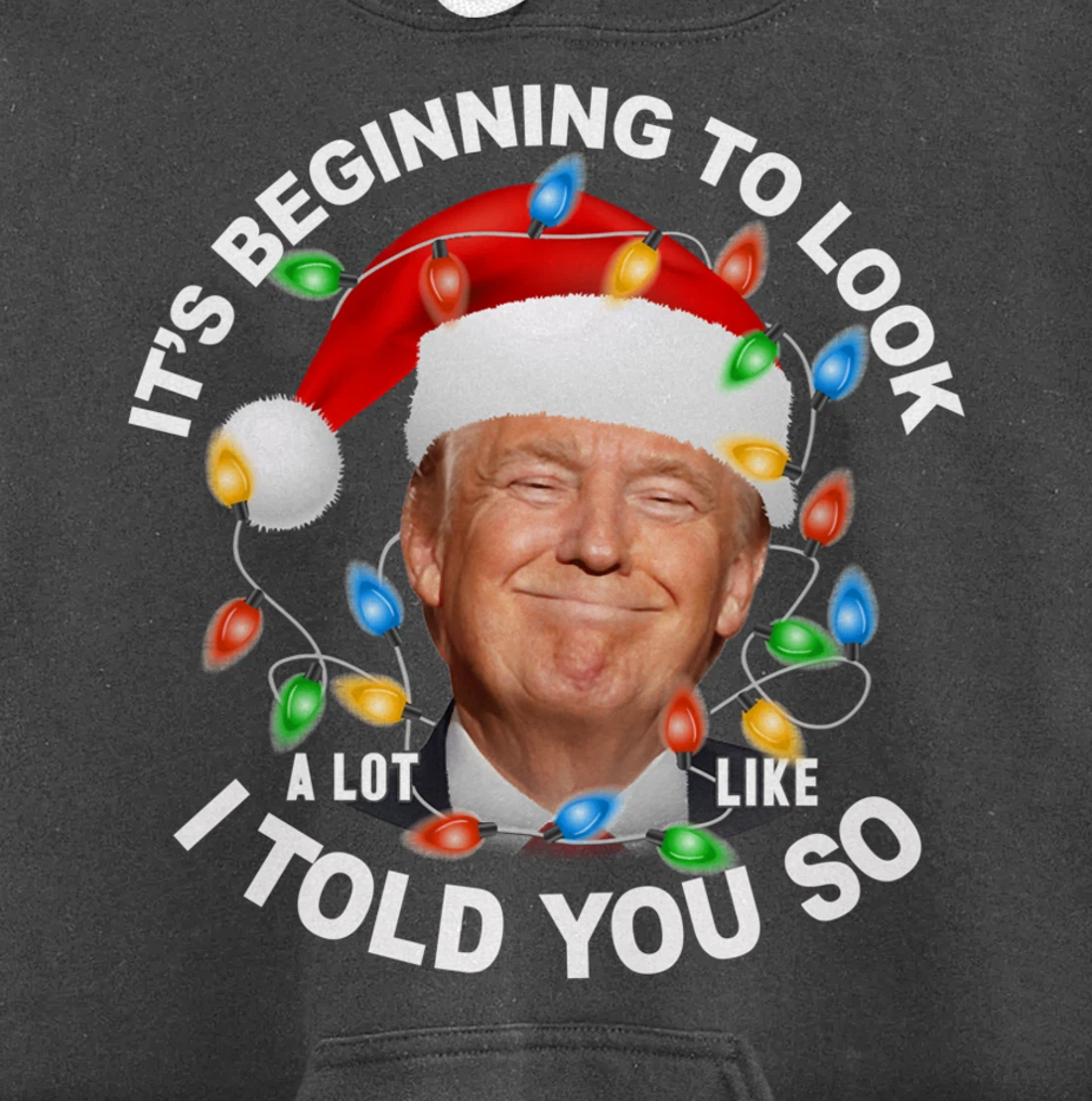 It's Beginning To Look A Lot Like I Told You So Trump Xmas Pullover Hoodie