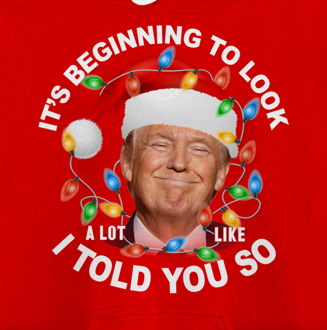 It's Beginning To Look A Lot Like I Told You So Trump Xmas Pullover Hoodie
