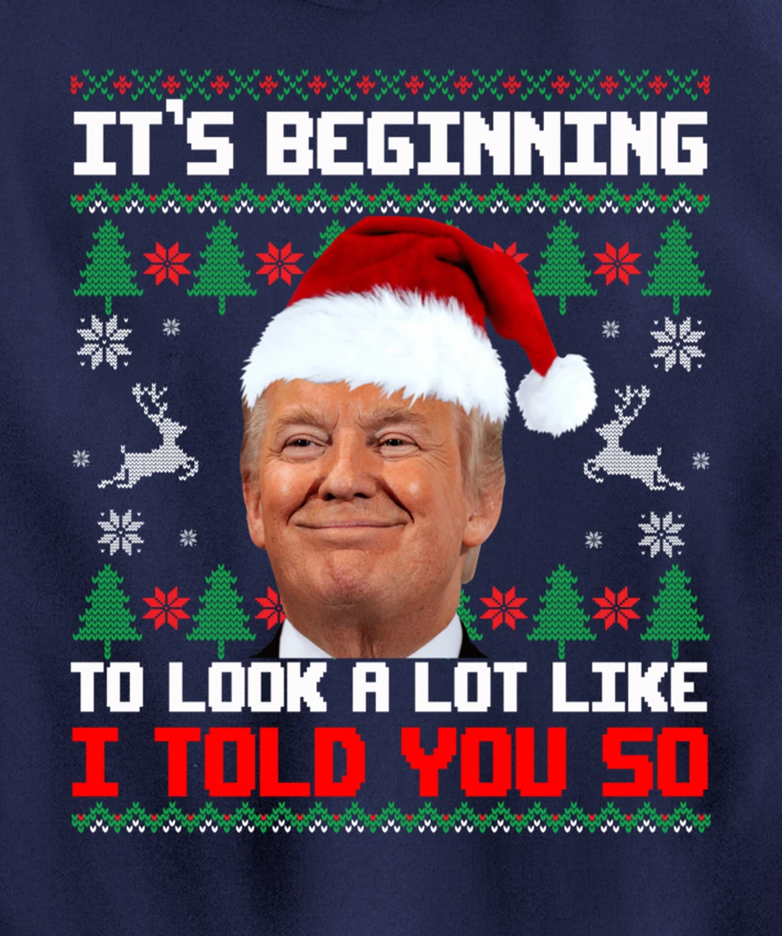 It's Beginning To Look A Lot Like I Told You So Trump Ugly Pullover Hoodie