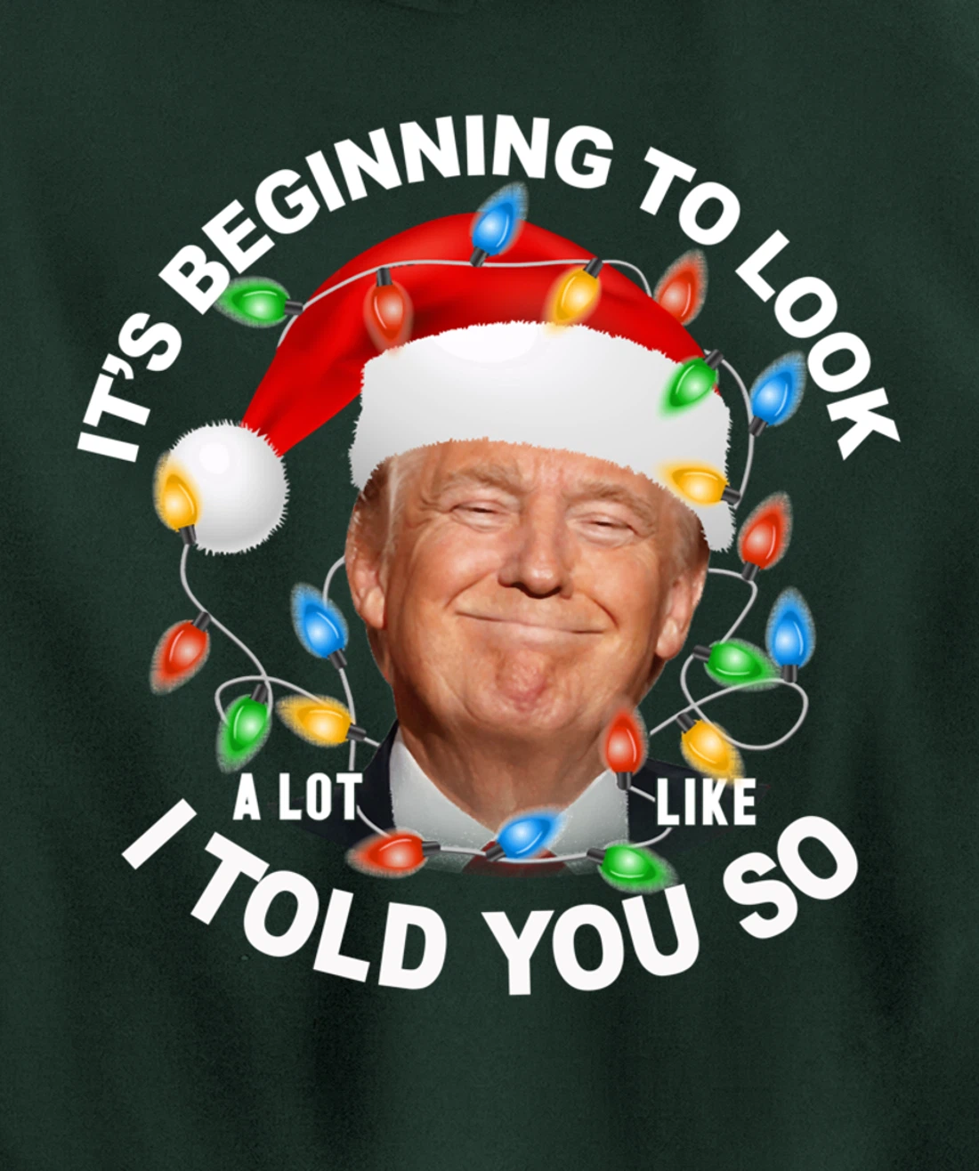It's Beginning To Look A Lot Like I Told You So Trump Xmas Pullover Hoodie