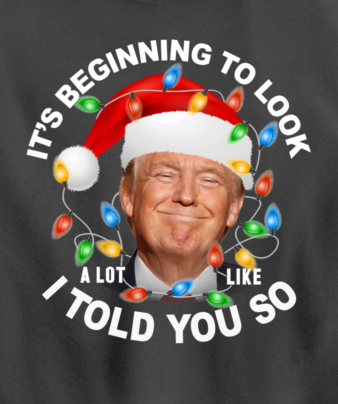 It's Beginning To Look A Lot Like I Told You So Trump Xmas Pullover Hoodie