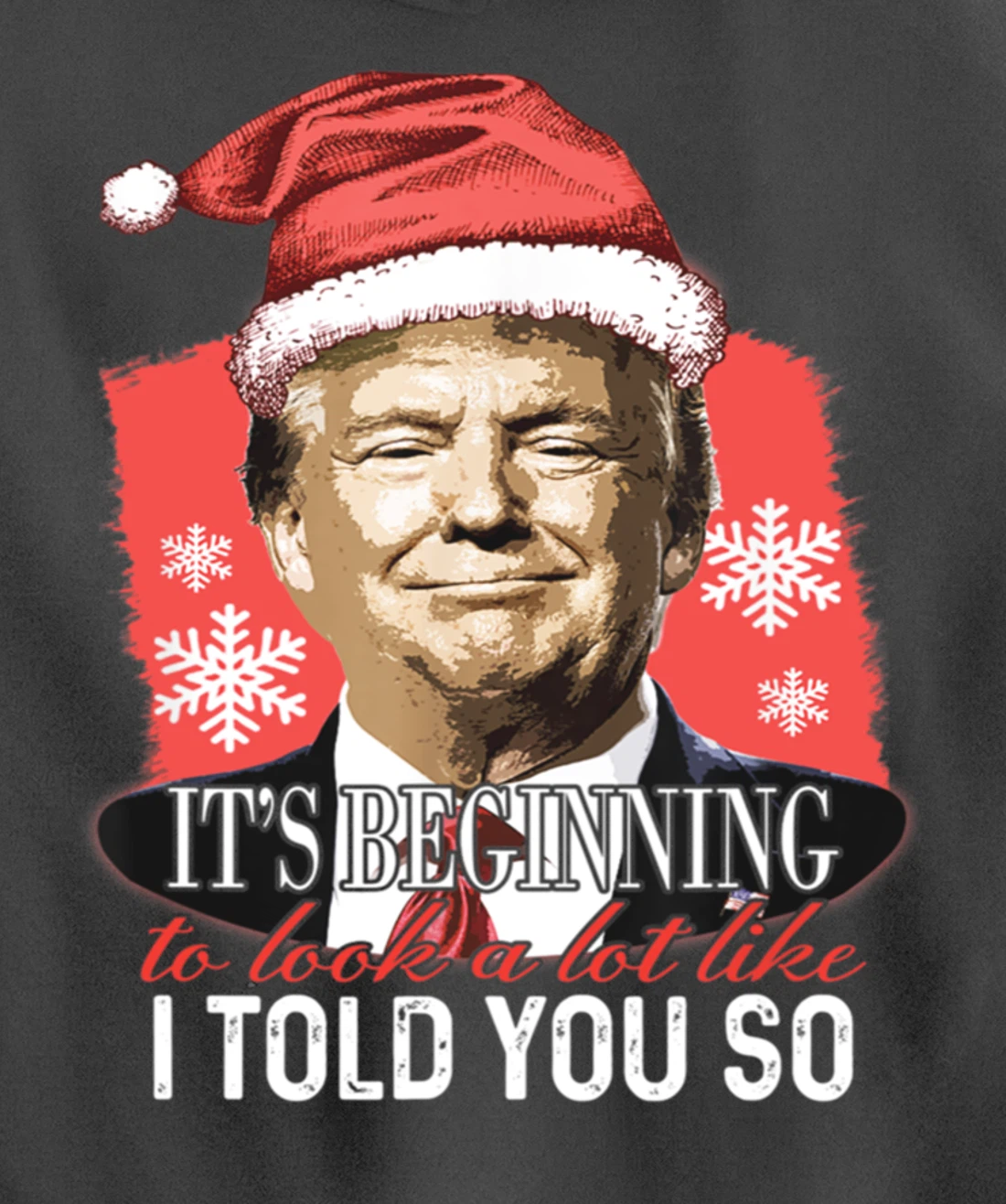 It's Beginning To Look A Lot Like I Told You So Trump Xmas Pullover Hoodie