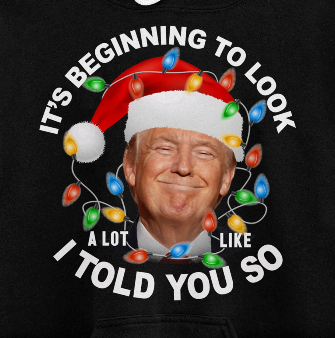 It's Beginning To Look A Lot Like I Told You So Trump Xmas Pullover Hoodie