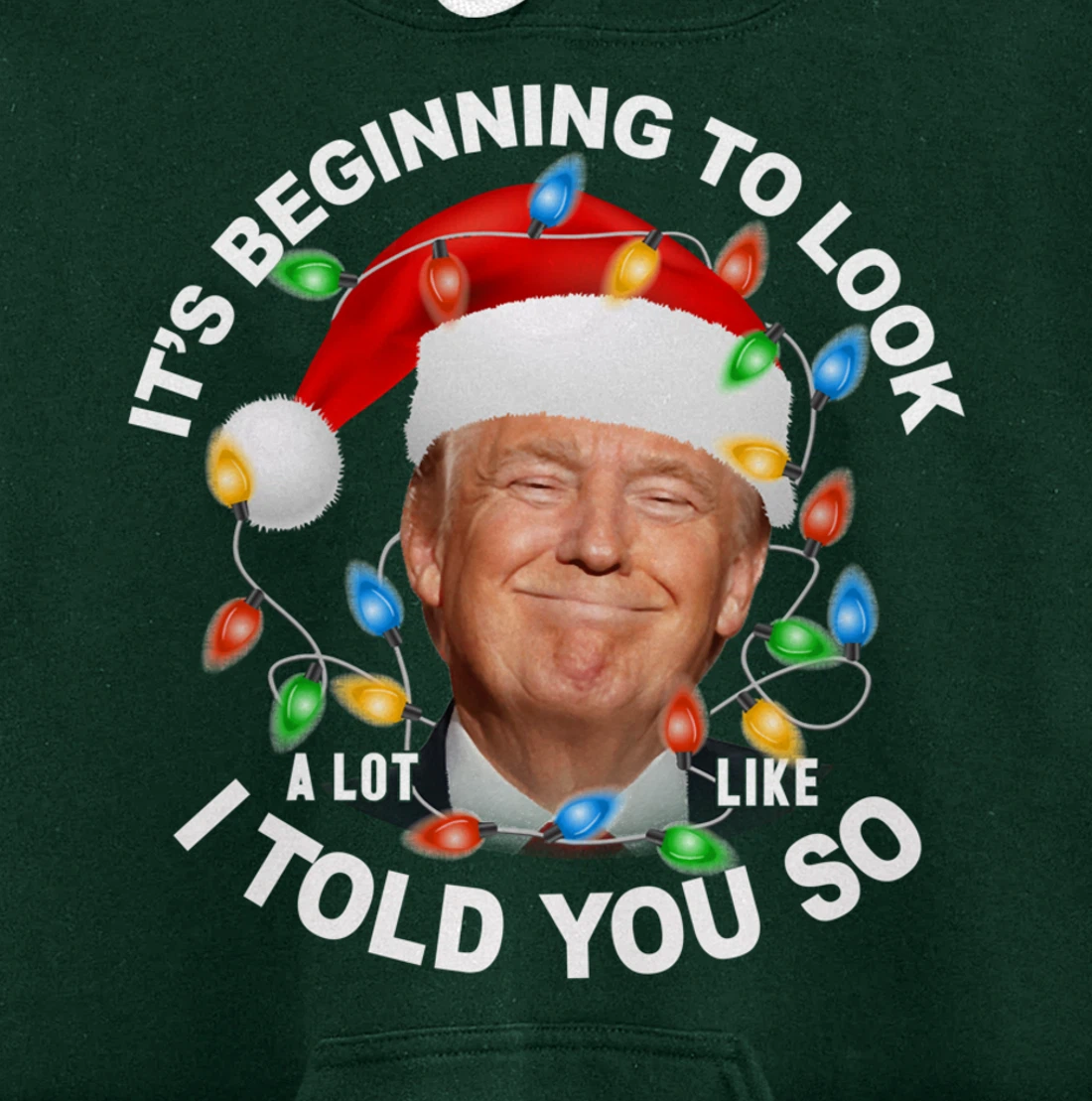 It's Beginning To Look A Lot Like I Told You So Trump Xmas Pullover Hoodie