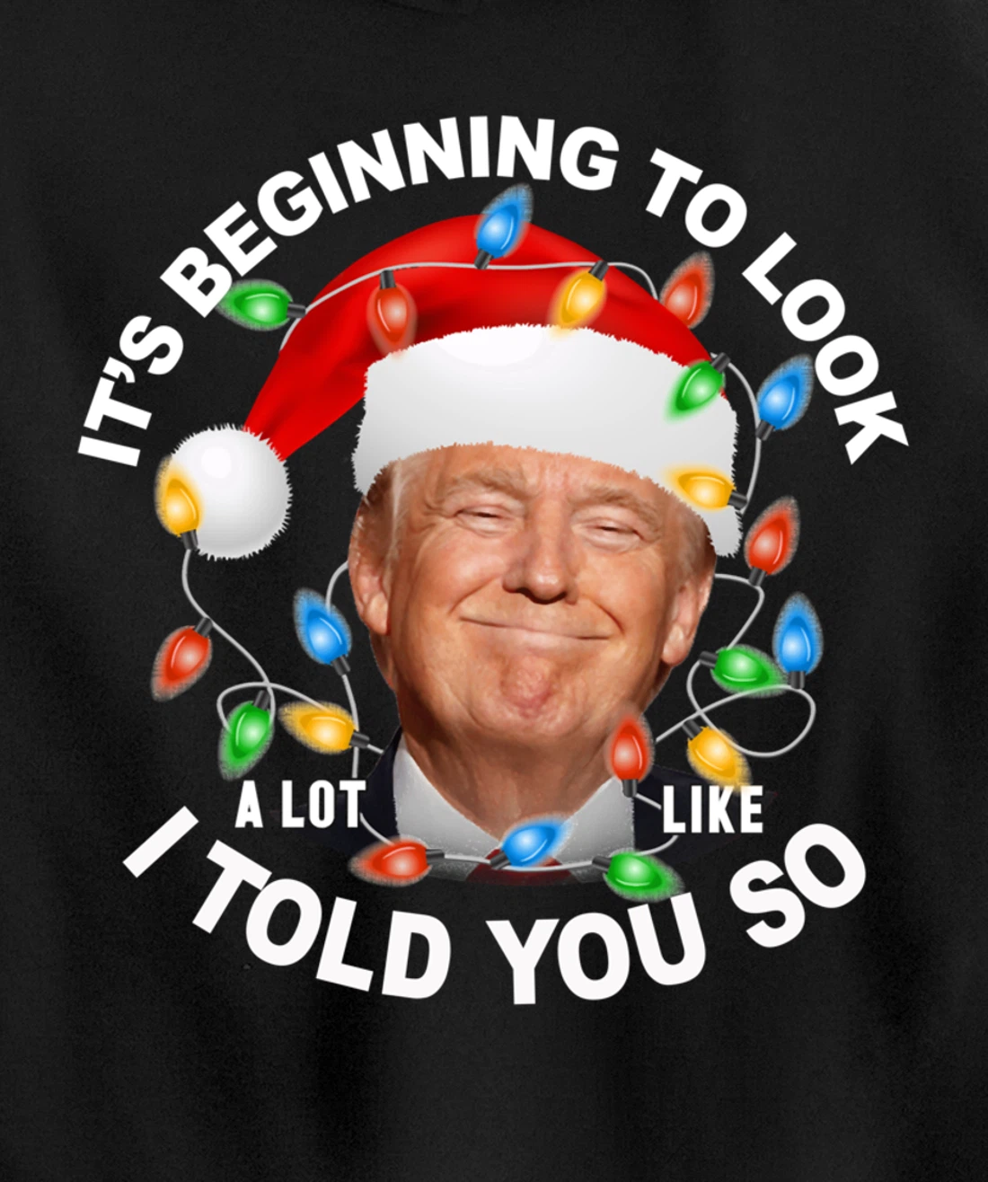 It's Beginning To Look A Lot Like I Told You So Trump Xmas Pullover Hoodie