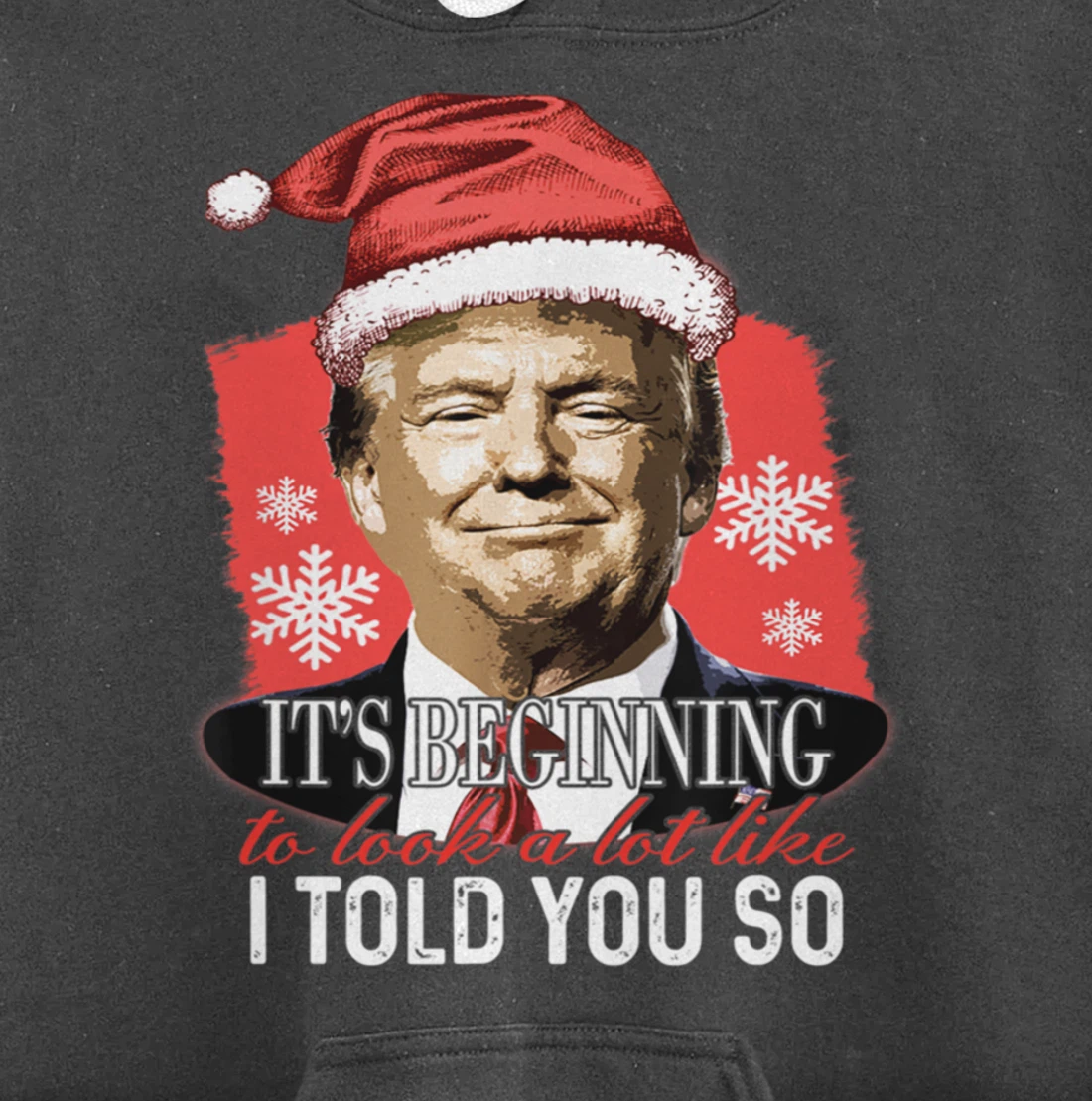 It's Beginning To Look A Lot Like I Told You So Trump Xmas Pullover Hoodie