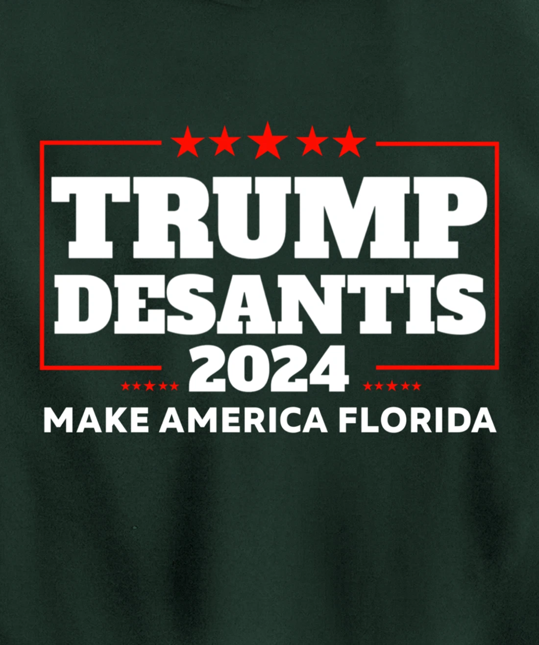 Trump DeSantis 2024 Make America Florida Republican Election Pullover Hoodie