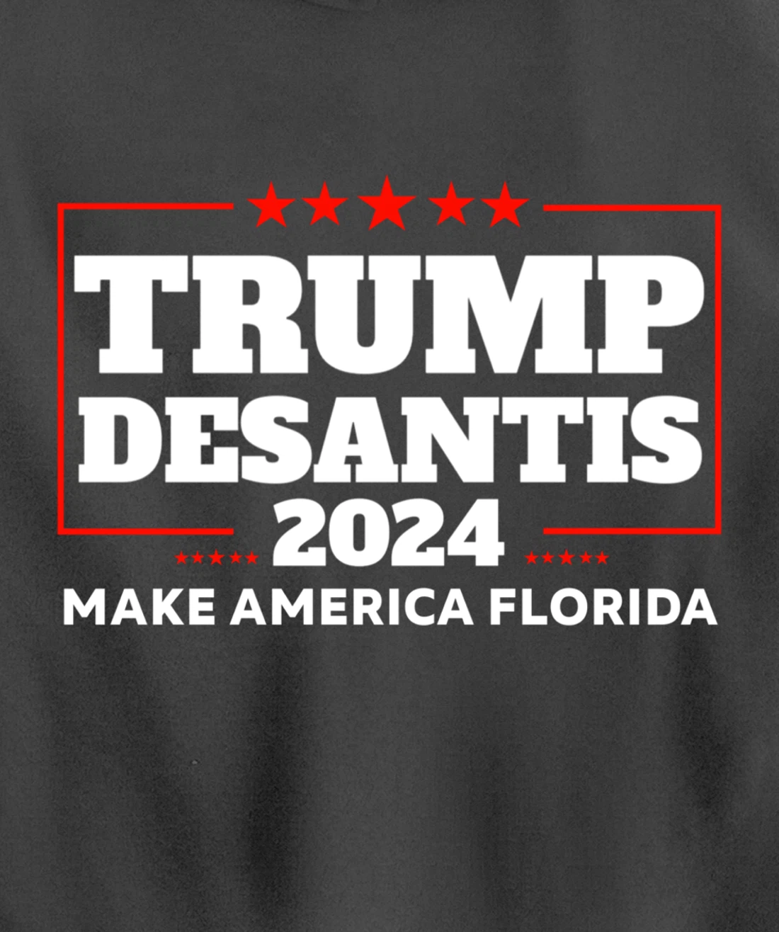 Trump DeSantis 2024 Make America Florida Republican Election Pullover Hoodie