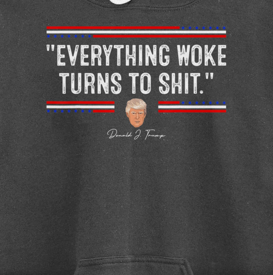 Funny Trump "Everything Woke Turns to Shit" Political Pullover Hoodie