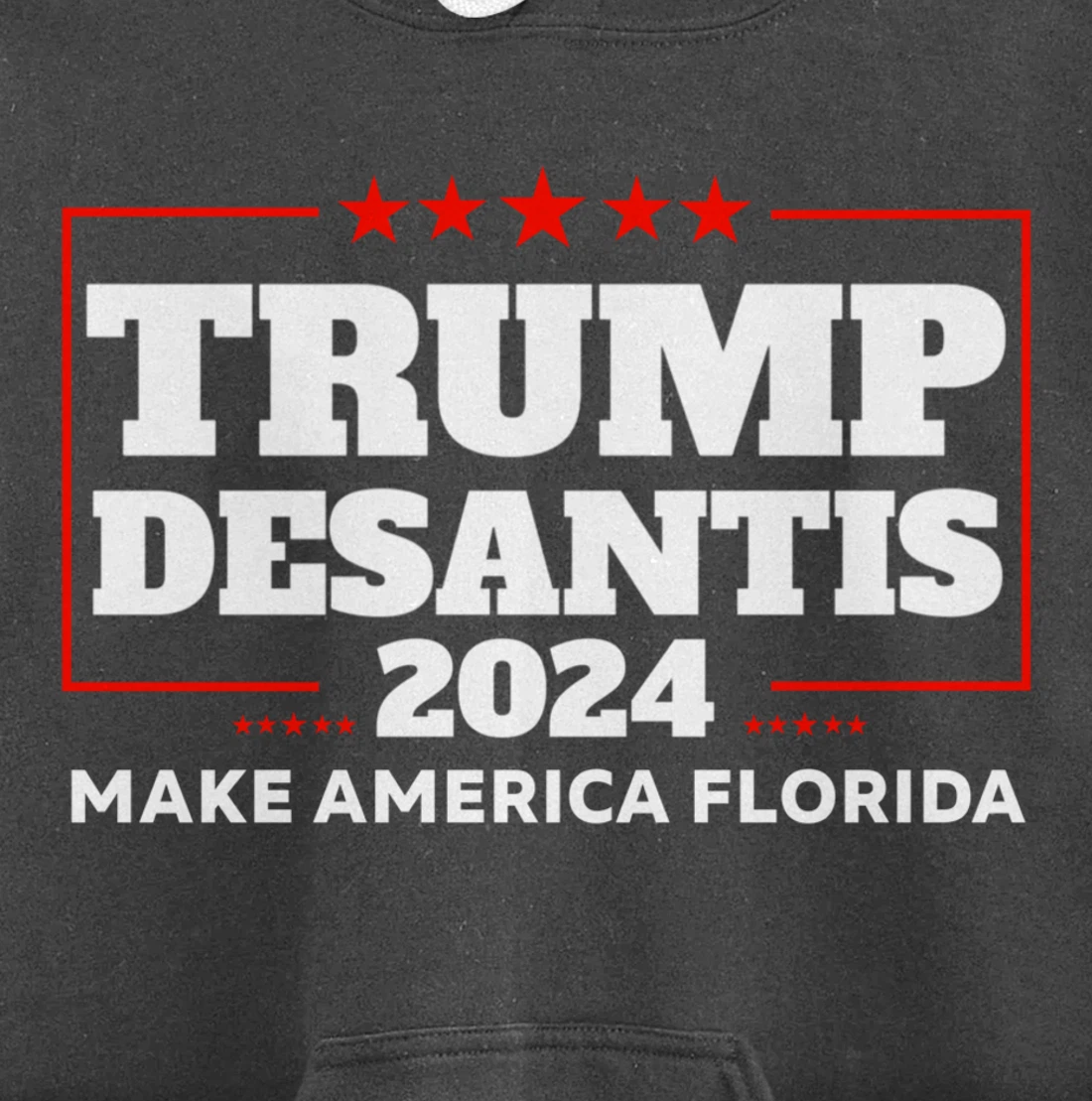 Trump DeSantis 2024 Make America Florida Republican Election Pullover Hoodie