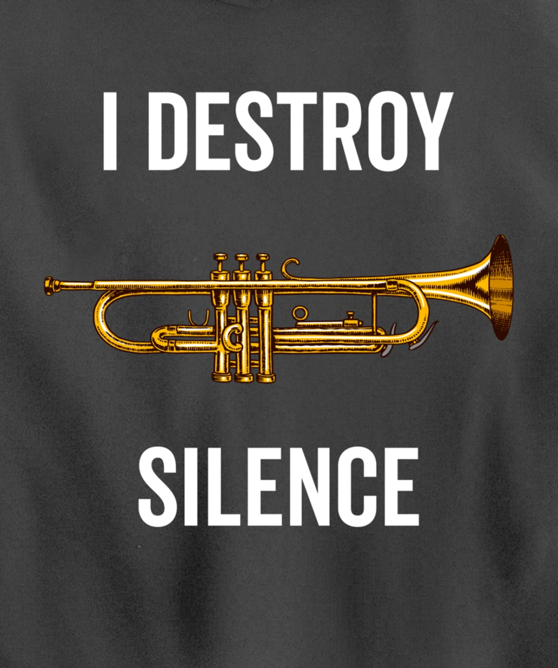 I Destroy Silence Trumpet Musician Music Teacher Funny Gift Pullover Hoodie