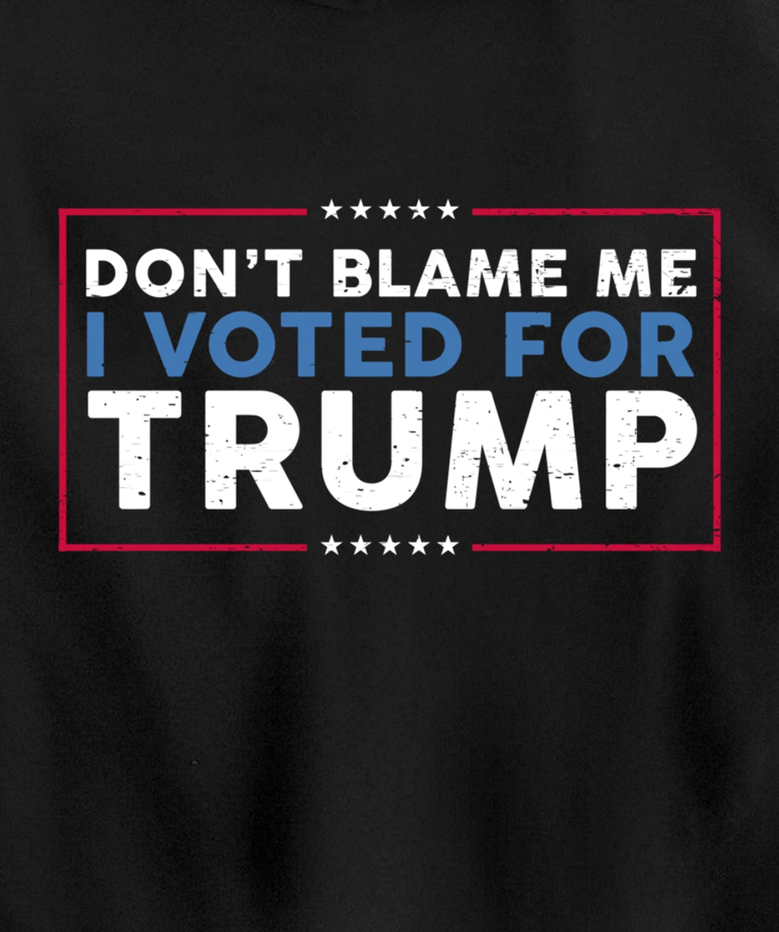 DON'T BLAME ME I VOTED FOR TRUMP Funny Pro-Trump Anti-Biden Pullover Hoodie