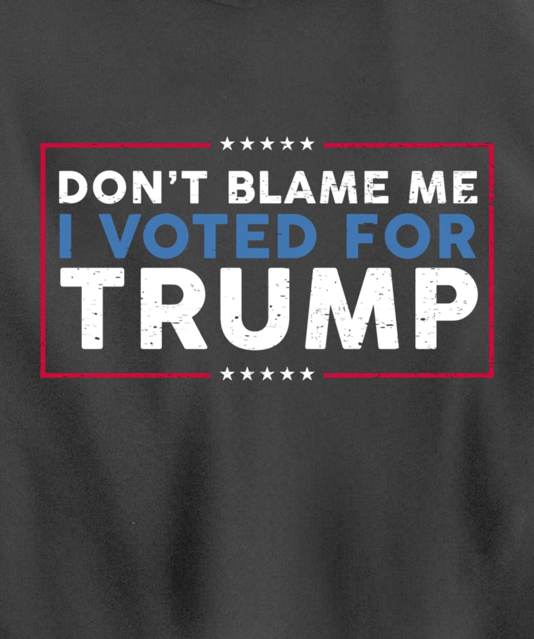 DON'T BLAME ME I VOTED FOR TRUMP Funny Pro-Trump Anti-Biden Pullover Hoodie
