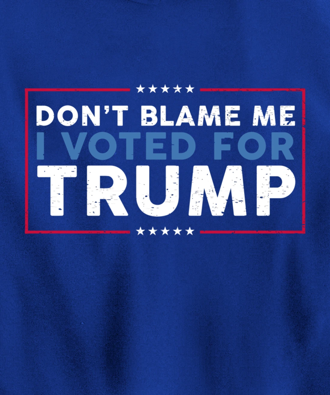 DON'T BLAME ME I VOTED FOR TRUMP Funny Pro-Trump Anti-Biden Pullover Hoodie