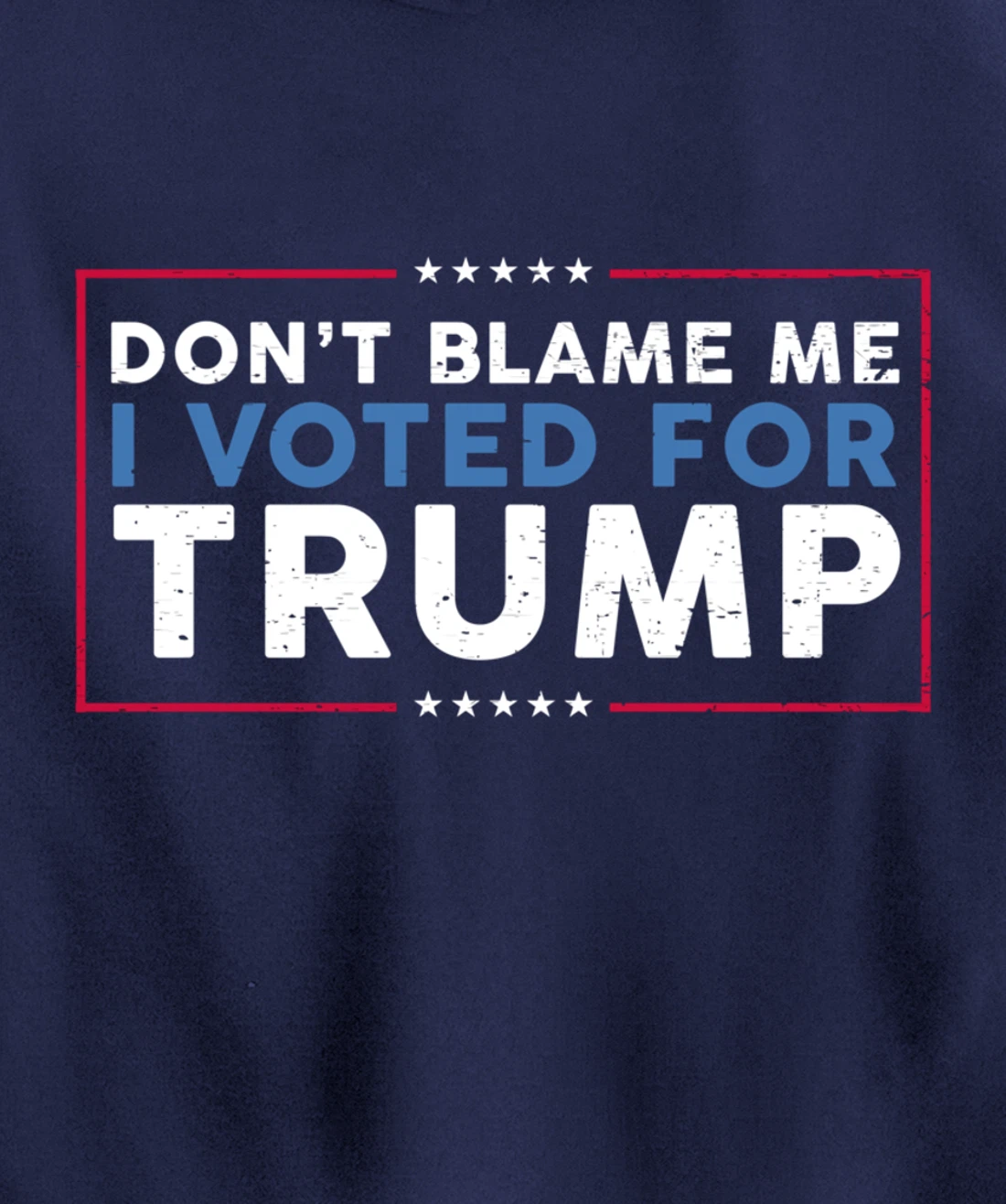 DON'T BLAME ME I VOTED FOR TRUMP Funny Pro-Trump Anti-Biden Pullover Hoodie