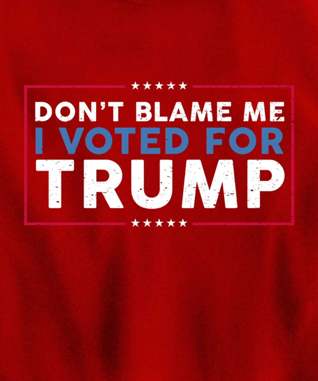 DON'T BLAME ME I VOTED FOR TRUMP Funny Pro-Trump Anti-Biden Pullover Hoodie
