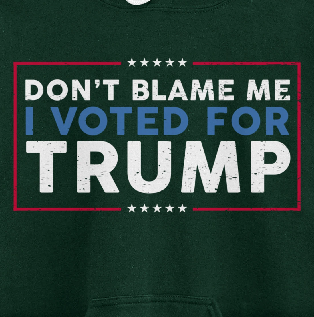 DON'T BLAME ME I VOTED FOR TRUMP Funny Pro-Trump Anti-Biden Pullover Hoodie