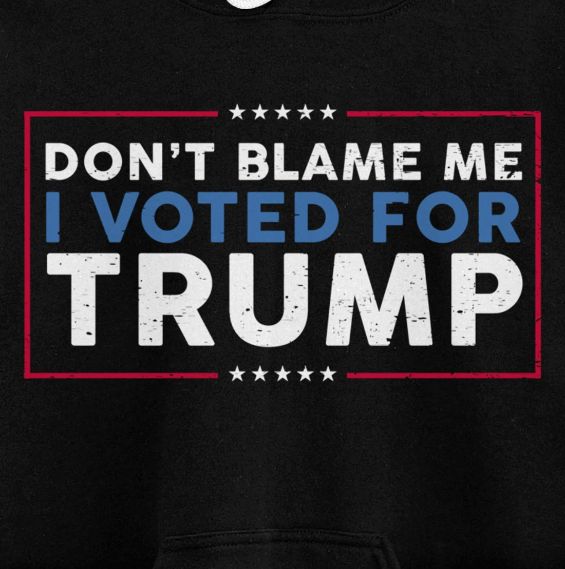 DON'T BLAME ME I VOTED FOR TRUMP Funny Pro-Trump Anti-Biden Pullover Hoodie